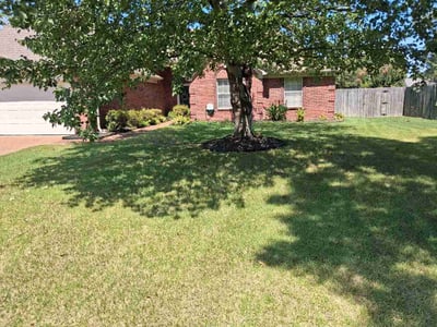 Lawn Care service in Sevierville, 37862