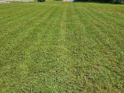 Lawn Care service in Alton, 62002