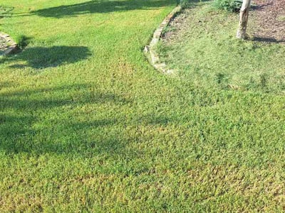 Lawn Care service in Jonesboro, 72401