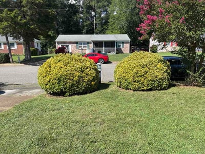 Lawn Care service in Newport News, 23606