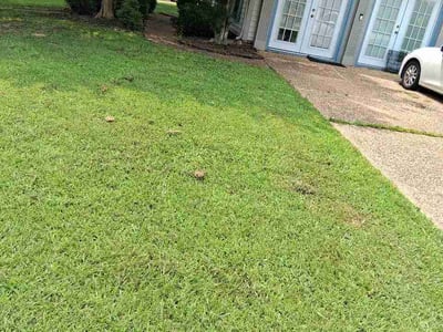Lawn Care service in Newport News, 23606