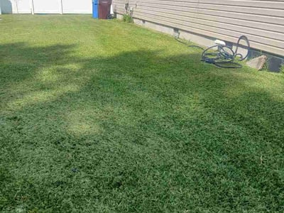 Lawn Care service in Hayes, 23072