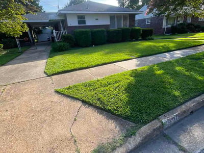 Lawn Care service in Gloucester, 23061
