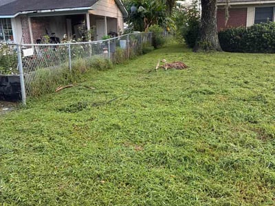 Lawn Care service in Saint Simons Island, 31522