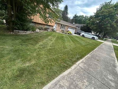 Lawn Care service in West Bend, 53095