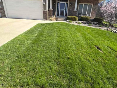 Lawn Care service in Oregon, 53575