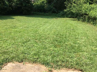 Lawn Care service in College Park, 20742