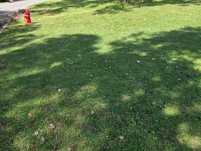 Lawn Care service in Lawton, 73501