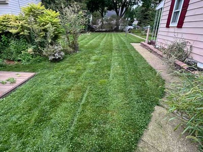 Lawn Care service in West Bend, 53095