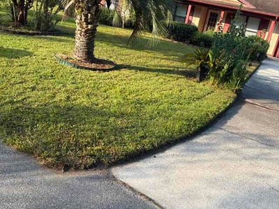 Lawn Care service in Saint Simons Island, 31522