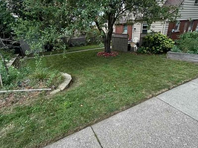 Lawn Care service in Elm Grove, 53122
