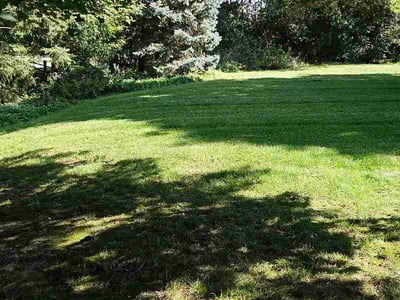 Lawn Care service in Elm Grove, 53122