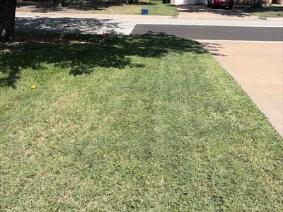 Lawn Care service in Haslet, 76052
