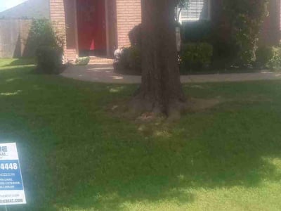 Lawn Care service in Haslet, 76052