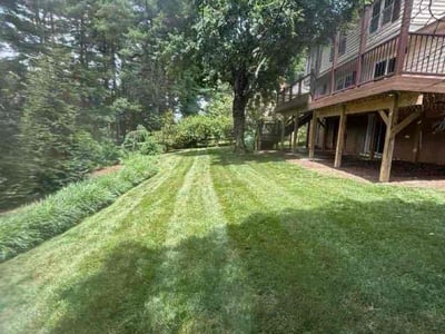 Lawn Care service in Gaithersburg, 20877