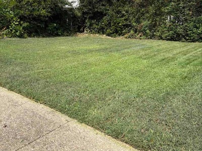Lawn Care service in District Heights, 20747