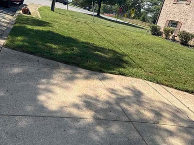Lawn Care service in District Heights, 20747