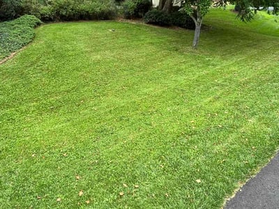 Lawn Care service in Gaithersburg, 20877