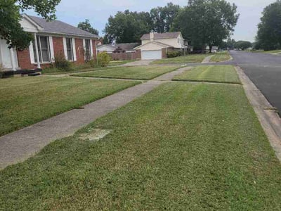 Lawn Care service in Radcliff, 40160