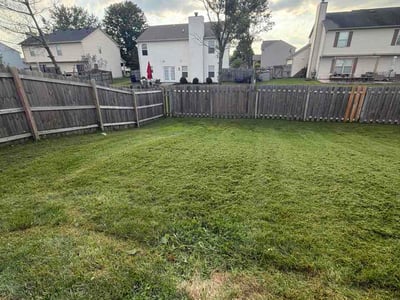 Lawn Care service in Gainesville, 20155