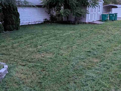 Lawn Care service in Collinsville, 62234