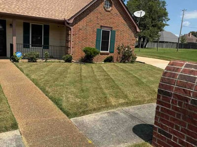 Lawn Care service in Cookeville, 38501