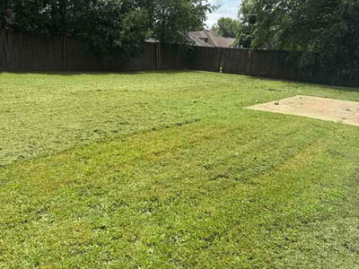 Lawn Care service in Olive Branch, 38654