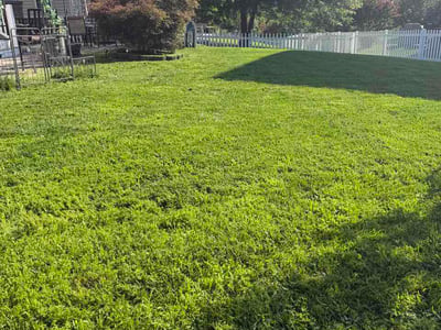 Lawn Care service in Bristow, 20136
