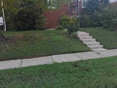 Lawn Care service in Capitol Heights, 20743