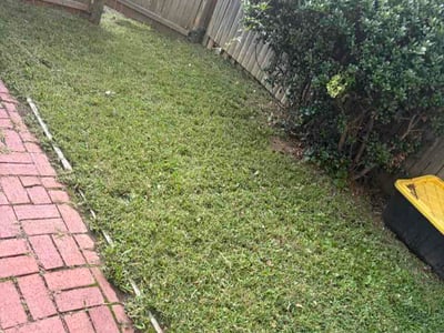 Lawn Care service in Temple Hills, 20748