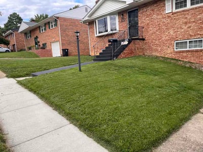 Lawn Care service in Temple Hills, 20748