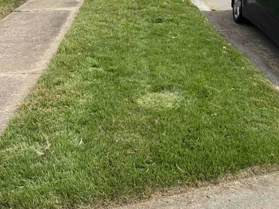 Lawn Care service in Granite City, 62040