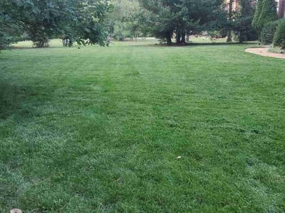 Lawn Care service in Chesterfield, 23832