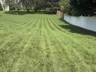 Lawn Care service in Berryville, 22611