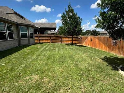 Lawn Care service in Olmos Park, 78212
