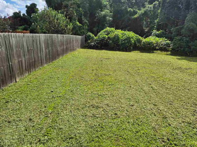 Lawn Care service in Calexico, 92231