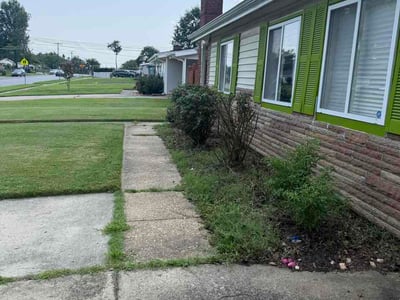 Lawn Care service in Springfield, 22150