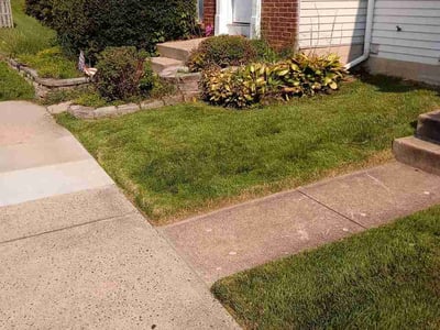 Lawn Care service in Springfield, 22150