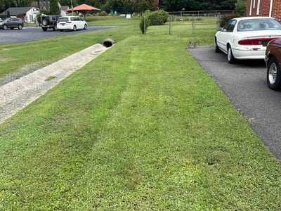 Lawn Care service in Henrico, 23294