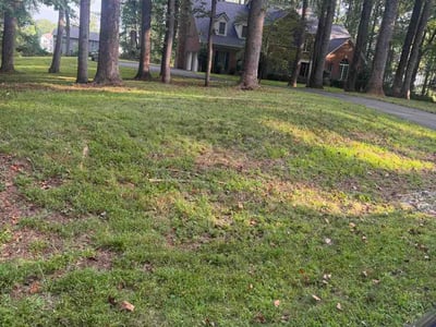 Lawn Care service in Warrenton, 20186