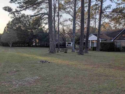 Lawn Care service in Albany, 31701