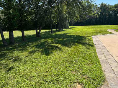 Lawn Care service in O Fallon, 62269