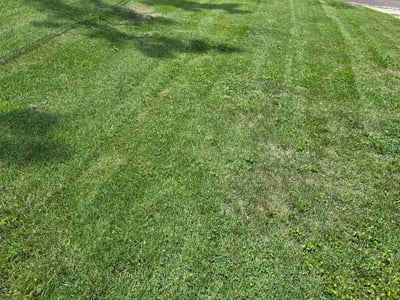 Lawn Care service in Belleville, 62220
