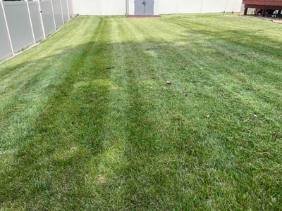 Lawn Care service in Belleville, 62220