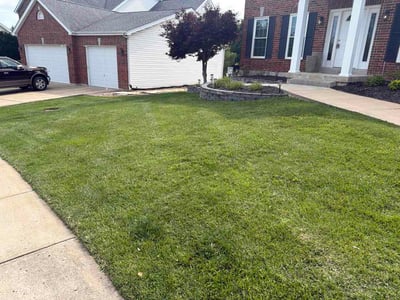 Lawn Care service in Nixa, 65714