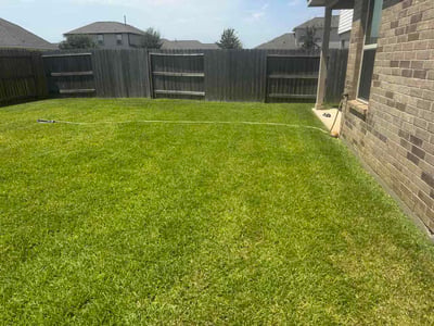 Lawn Care service in Stafford, 77477
