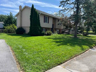 Lawn Care service in Winchester, 22601