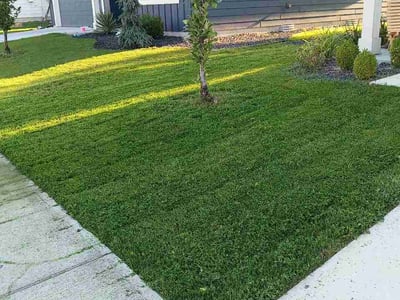 Lawn Care service in Cheney, 99004