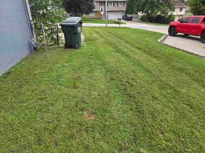 Lawn Care service in Carbondale, 62901