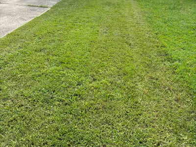 Lawn Care service in Reston, 20190